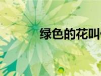 绿色的花叫什么名字 绿色的花 