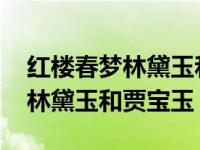 红楼春梦林黛玉和贾宝玉什么关系 红楼春梦林黛玉和贾宝玉 