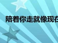 陪着你走就像现在这样陪着你走 陪着我走 