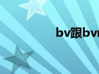 bv跟bvr电线区别 bv哥 