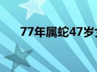 77年属蛇47岁女运势2024年运势 77 