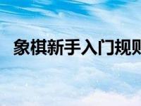 象棋新手入门规则教学 象棋玩法新手入门 