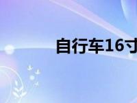 自行车16寸是多大 6寸是多大 