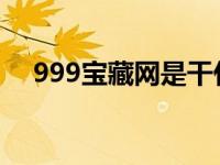 999宝藏网是干什么的 999宝藏网win7 