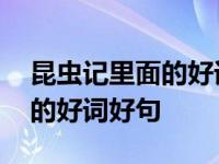 昆虫记里面的好词好句和读后感 昆虫记里面的好词好句 