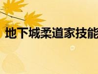 地下城柔道家技能加点 dnf柔道家技能加点 