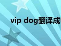 vip dog翻译成中文 贵宾犬英文怎么说 