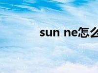 sun ne怎么读 sunnee怎么读 