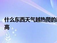 什么东西天气越热爬的越高两个字 什么东西天气越热爬的越高 