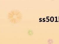 ss501粉丝名 ss501 