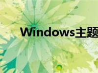 Windows主题色改变 windows主题 