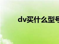 dv买什么型号的好 dv什么品牌好 