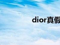 dior真假 logo dior真假 