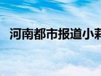 河南都市报道小莉帮忙电话 河南都市报道 