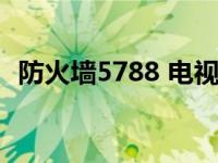 防火墙5788 电视剧在线观看 防火墙5788 