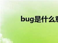 bug是什么意思 hut是什么意思 