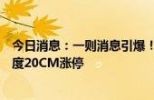 今日消息：一则消息引爆！盐湖提锂板块“补涨”，个股一度20CM涨停