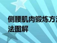 侧腰肌肉锻炼方法图解视频 侧腰肌肉锻炼方法图解 