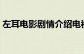 左耳电影剧情介绍电视猫 左耳电影剧情介绍 