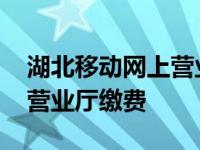 湖北移动网上营业厅缴费方式 湖北移动网上营业厅缴费 