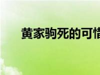 黄家驹死的可惜吗 黄家驹到底死没死 