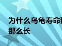 为什么乌龟寿命那么长答案 为什么乌龟寿命那么长 