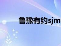 鲁豫有约sjm专访下 鲁豫有约sjm 