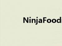 NinjaFoodi2篮式空气炸锅评测