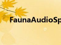 FaunaAudioSpiro透明棕色太阳镜评测