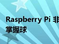 Raspberry Pi 非常灵活 它可以在板球技巧上掌握球