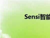 Sensi智能恒温器ST55评测