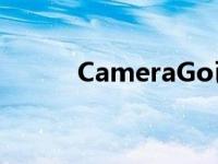 CameraGo已重命名为谷歌相机