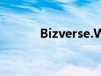 Bizverse.World商业的元宇宙