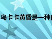 鸟卡卡黄昏是一种由天然木浆制成的神奇材料