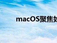 macOS聚焦如何充分利用搜索结果