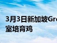 3月3日新加坡Greenlights全球首次销售实验室培育鸡