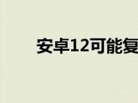 安卓12可能复制关键的iPhone功能