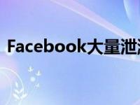 Facebook大量泄漏使5亿用户遭受网上诱骗