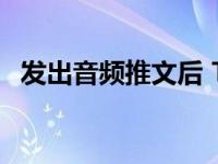 发出音频推文后 Twitter正在测试语音DM