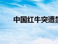 中国红牛突遭禁 天猫京东已全面下架