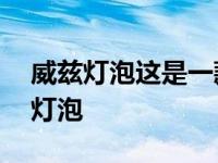 威兹灯泡这是一款不到10美元的全方位智能灯泡