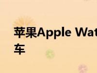 苹果Apple Watch 2023款彩虹表带工艺翻车