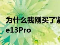 为什么我刚买了紧凑型相机而不是苹果iPhone13Pro