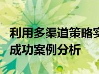 利用多渠道策略实现业务增长：策略、挑战与成功案例分析