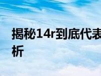 揭秘14r到底代表多大：尺寸、意义及应用解析