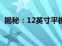 揭秘：12英寸平板电脑的长宽尺寸是多少？