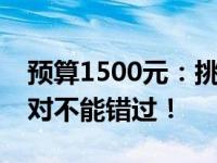 预算1500元：挑选高性价比手机，这款你绝对不能错过！