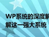 WP系统的深度解析：从原理到应用，全面了解这一强大系统