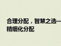 合理分配，智慧之选——探讨如何在xxxx年的预算中进行精细化分配