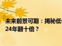 未来前景可期：揭秘低价股中的潜力股，哪些股票有望在2024年翻十倍？